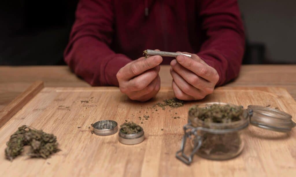 Some synthetic cannabinoids used in K2 may be significantly more potent than THC at CB1 receptors