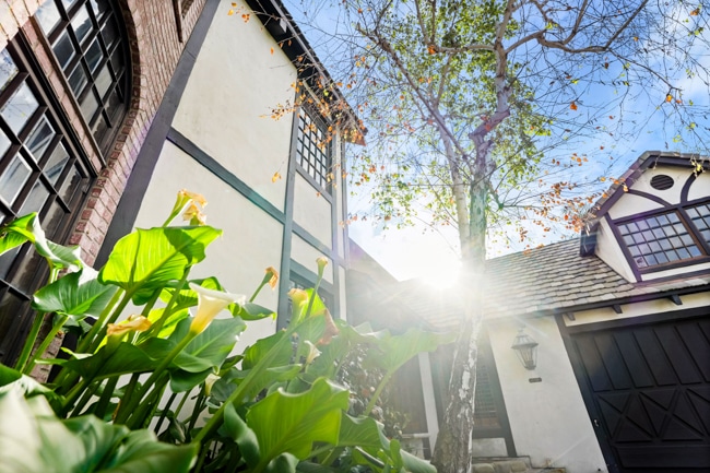 iRely Recovery facility in Los Angeles serving clients learning about dual diagnosis treatment